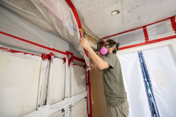 Best Crawl Space Mold Remediation  in East Petersburg, PA