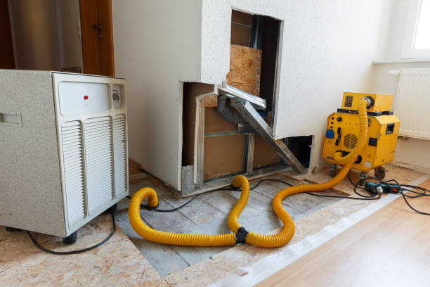 Best Environmental Consulting for Mold Prevention  in East Petersburg, PA